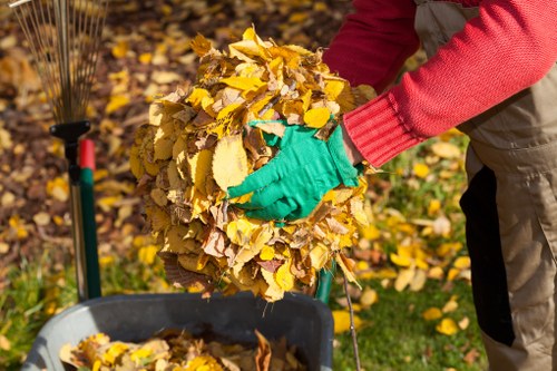 Professional team clearing furniture in Hampstead Heath